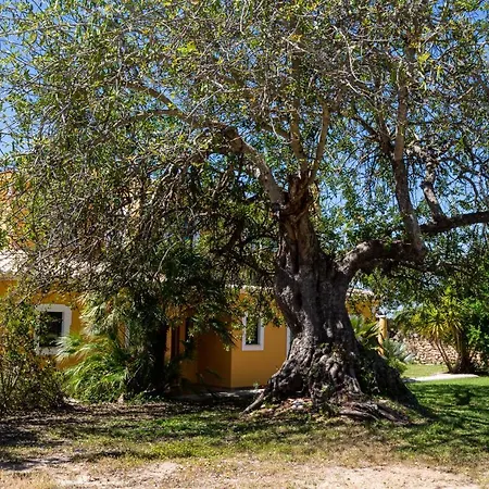 Limao Villa