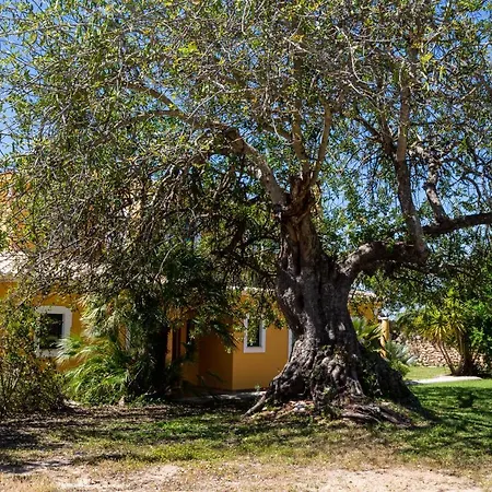 Limao Villa